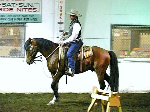 Horse training with Buck Brannaman