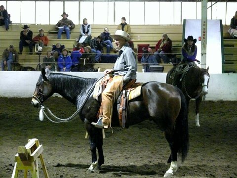 Buck Brannaman, horse trainer and natural Horsemanship practioner