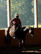 Buck Brannaman, Natural Horsemanship Training