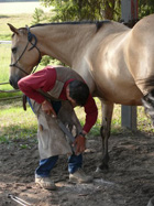 Wes doing one of his many jobs - shoeing