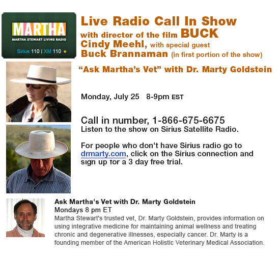 Live Radio Call In Show